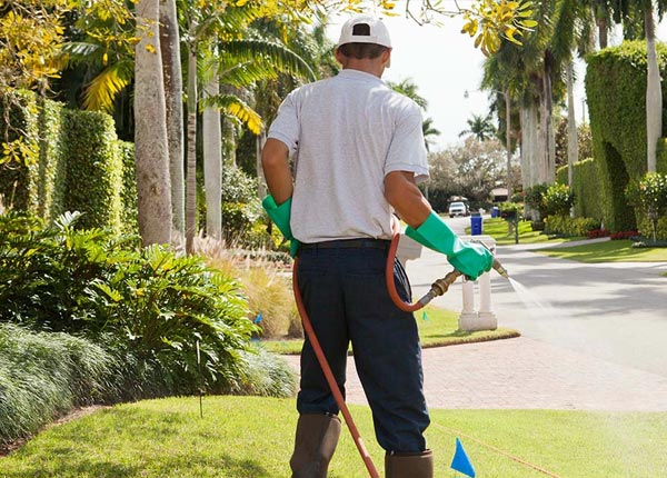 About Selma NC Pest Control